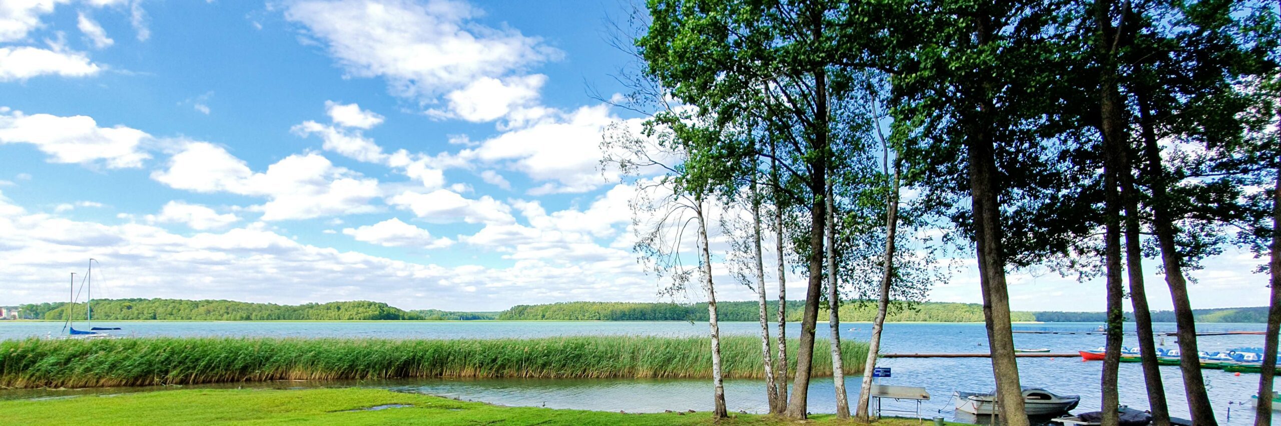 Jezioro Niesłysz w Niesulicach (panorama).